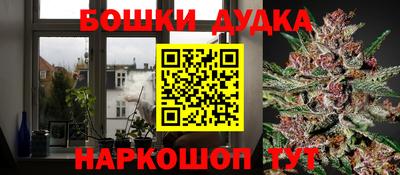индика Чебаркуль