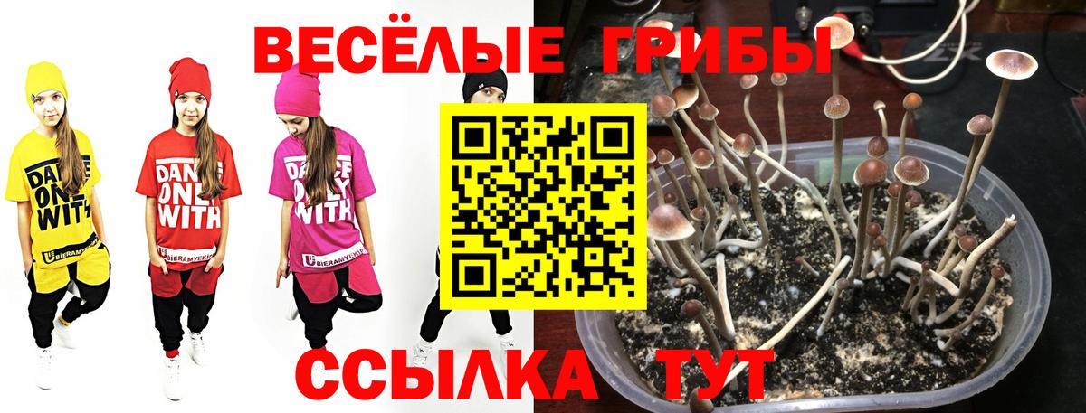 Галлюциногенные грибы ЛСД  Вход с VPN  Красноярск 